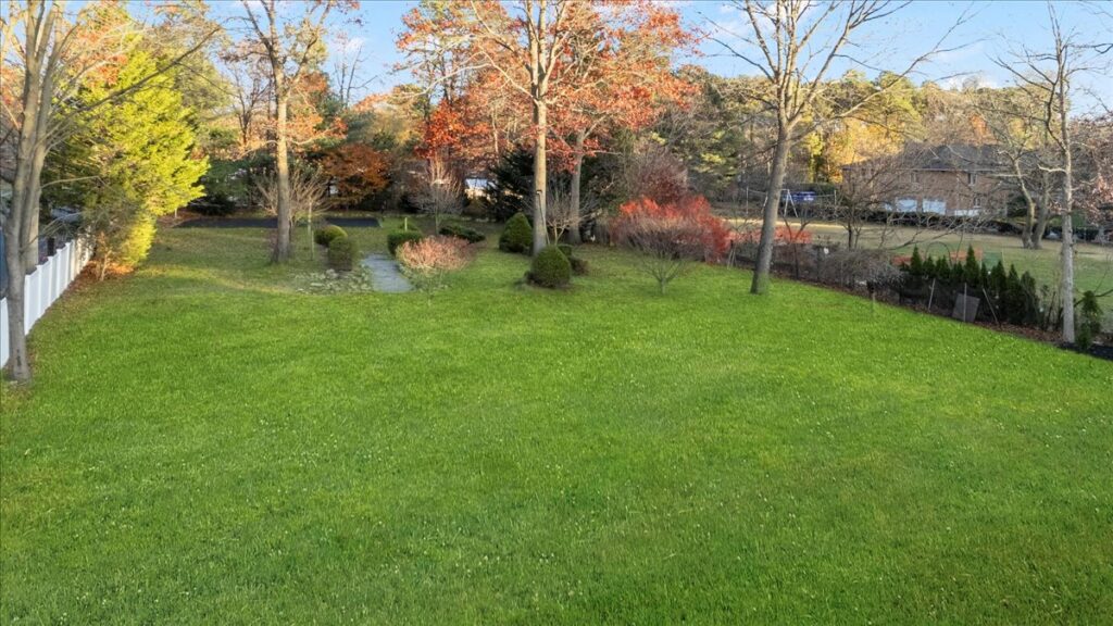 60-DJI_20251117155940_0011_D 60-DJI_20251117155940_0011_D